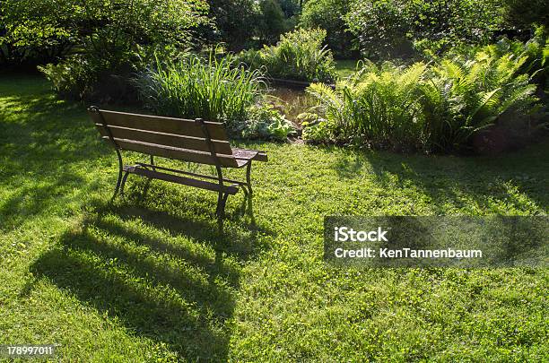 Banco De Madeira Com Folhagem - Fotografias de stock e mais imagens de Ao Ar Livre - Ao Ar Livre, Arbusto, Banco - Assento