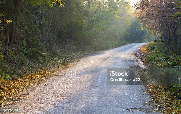 Mañana En La Foto de stock y más banco de imágenes de Agujereado - Agujereado, Aire libre, Amarillo - Color