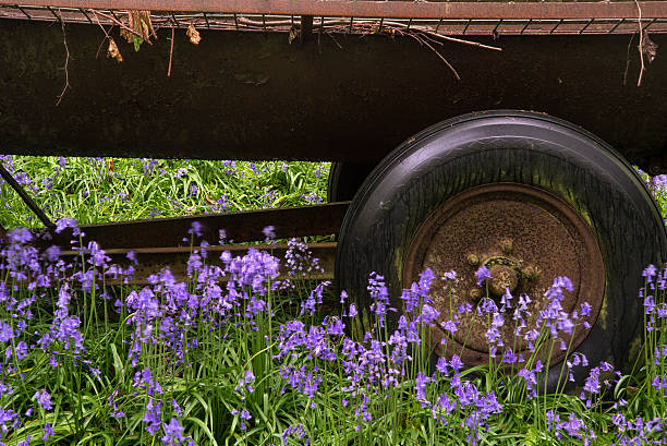 istock Old farm machinery in vibrant bluebell  Spring forest landscape 178997946