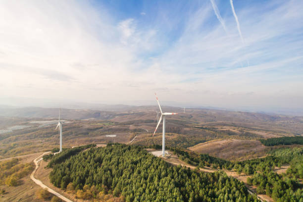 wind turbines in the forest area