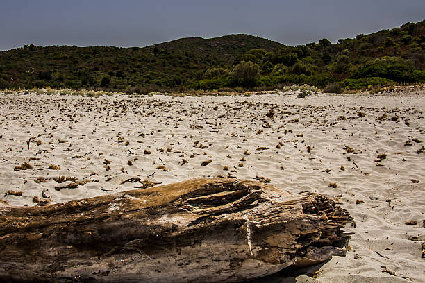 Wild beach, Corsica stock photo