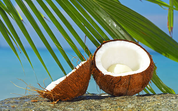 istock A close-up of a broken coconut on the beach 178999245