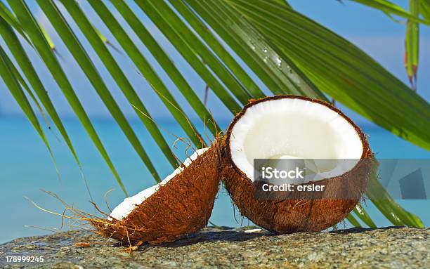 A Closeup Of A Broken Coconut On The Beach Stock Photo - Download Image Now - Animal Shell, Beach, Beauty