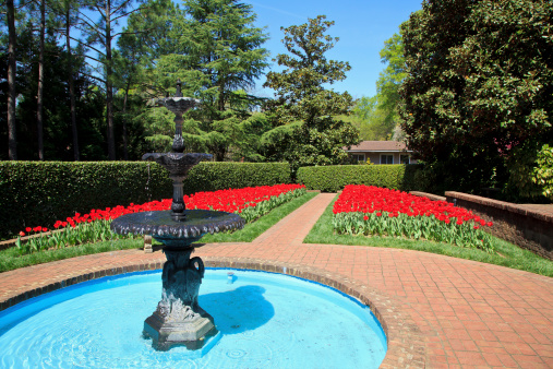 Red tulips in bloom and a water fountain in this garden in North Carolina