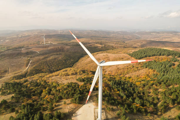 wind turbines in the forest area