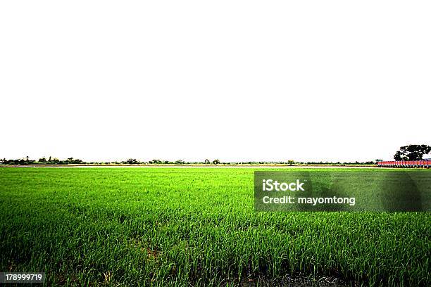 Farm Stockfoto und mehr Bilder von Agrarbetrieb - Agrarbetrieb, Agrarland, Blatt - Pflanzenbestandteile