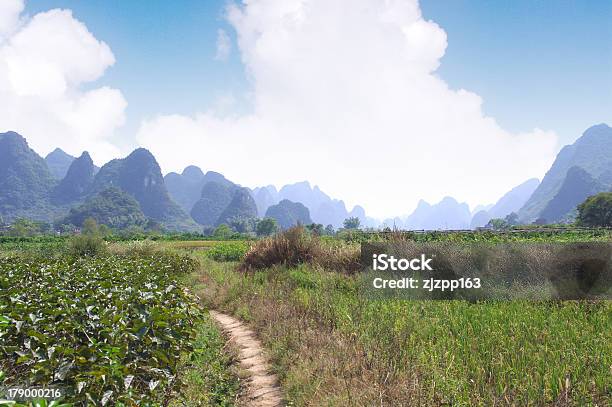 Paisagem De Montanha Em Guilin - Fotografias de stock e mais imagens de Agricultura - Agricultura, Ajardinado, Ao Ar Livre