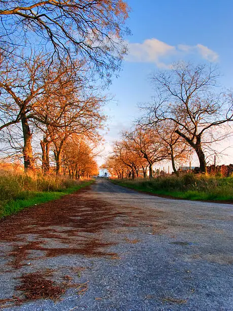Photo of Autumn Road