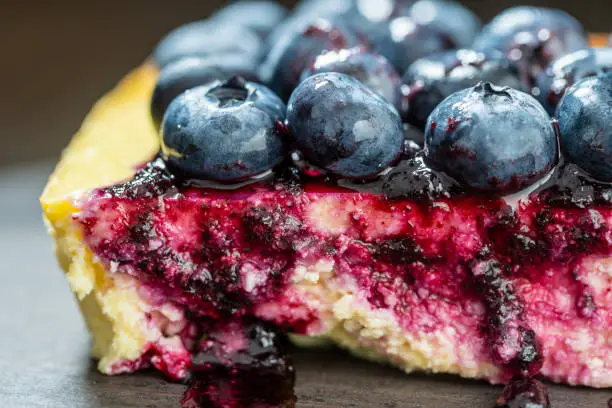 Piece of homemade blueberry cheesecake on dark background, close up, macro