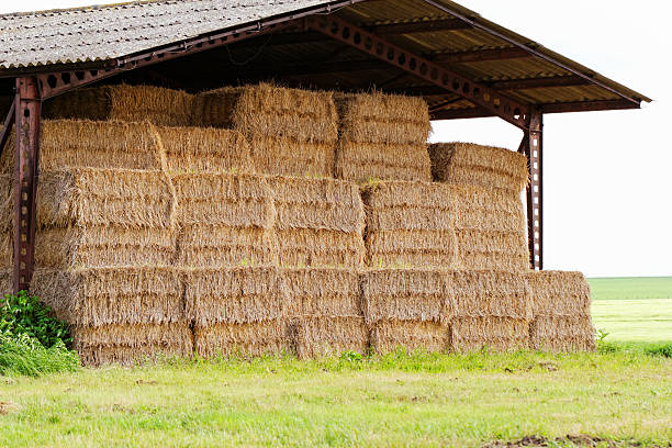 istock straw bales under the roof 179000971