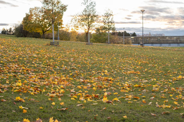istock Autumn in public park against Typical Modern panel apartment building with plastic windows and thermo insulated walls.  Architecture in  Europe. 1790010949