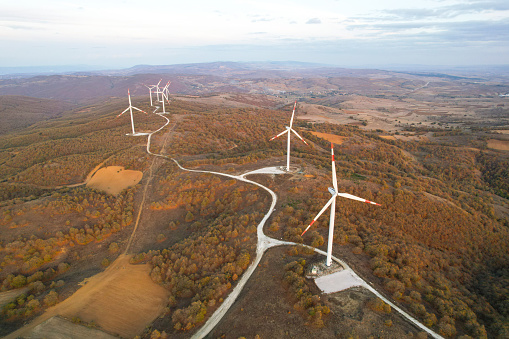 wind turbines in the forest area