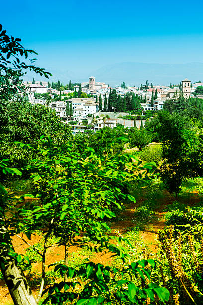 istock View of Granada from the Alhambra 179001257