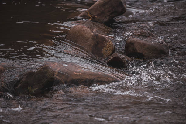 istock Mountain river flow over boulders in cold water 1790013125