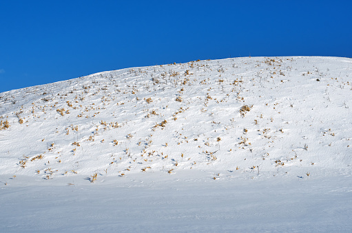 Abstract view of winter snow hill with yellow dry grass under bright sunlight. Blue sky with cloud