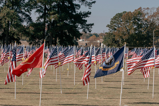 Field of Honor for veterans day.