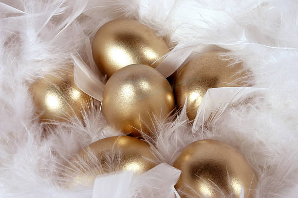 ovos ninho dourado - wealth eggs animal egg easter egg imagens e fotografias de stock