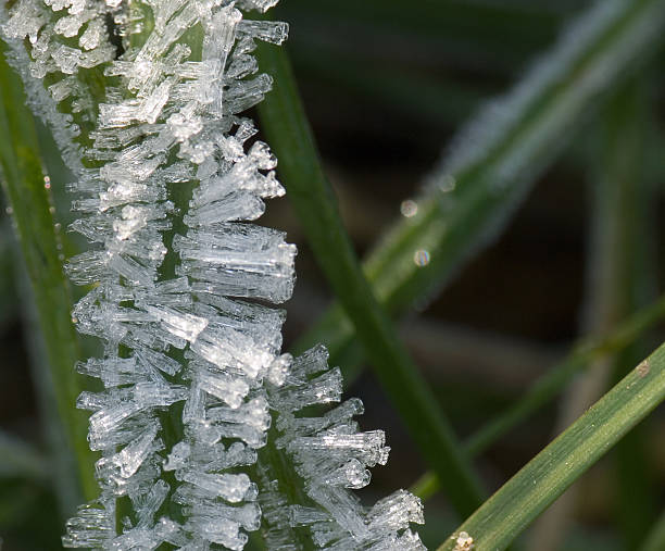 Frost crystals stock photo