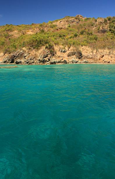istock Near the Caribbean Island 179003527