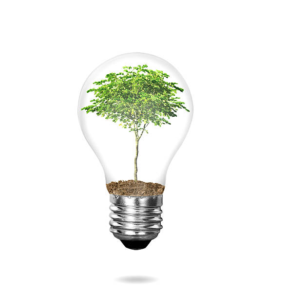 istock Incandescent light bulb with plant 179004273