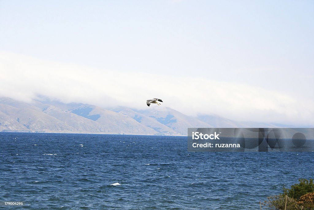 Lac Sevan - Photo de Arbre libre de droits