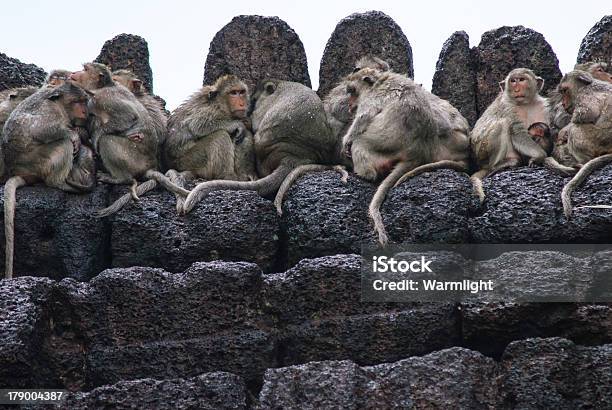 Monos Descanso Más De Un Templo De Lopburi Tailandia Foto de stock y más banco de imágenes de Mono - Primate
