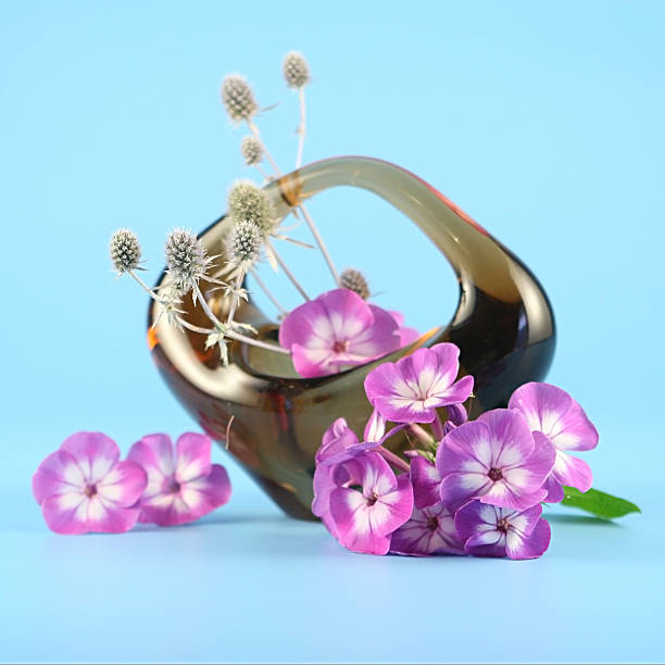 istock Basket with clematis on a blue  background 179004554