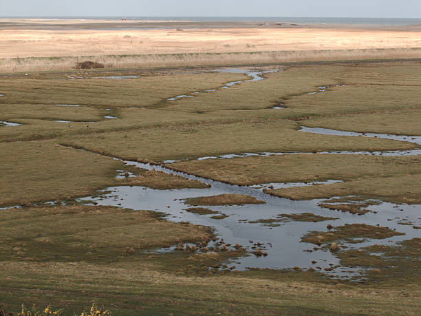 istock Cley Marshes, North Norfolk 179004670