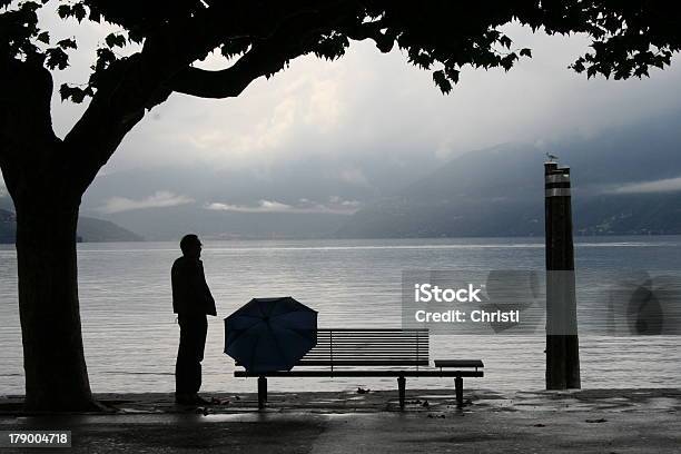 Осенний Дождливый День В Ascona — стоковые фотографии и другие картинки Дерево - Дерево, Скамья, Горе