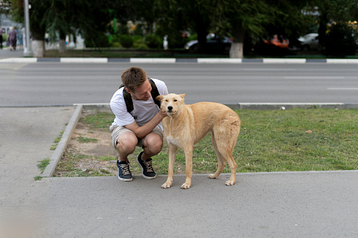 A Heartwarming Moment: A Man Kneeling Down Next to a Brown Dog