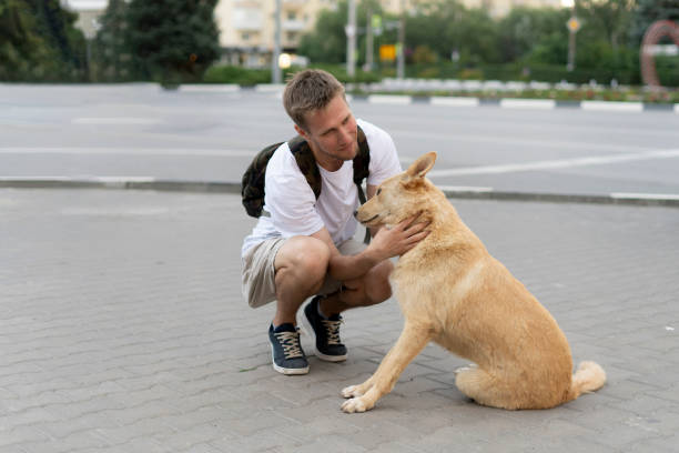 istock A Heartwarming Moment: A Man Kneeling Down Next to a Brown Dog 1790056261