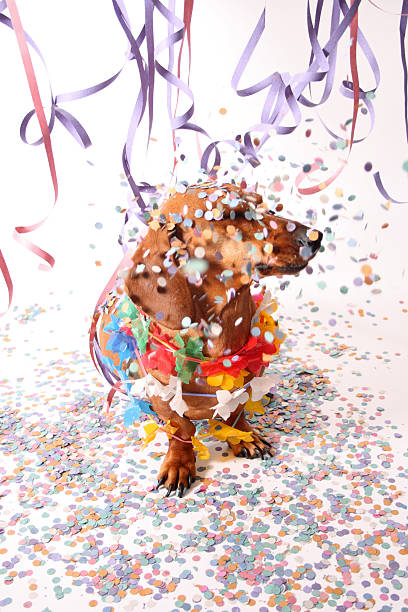 istock Carnival and dachshund 179005856