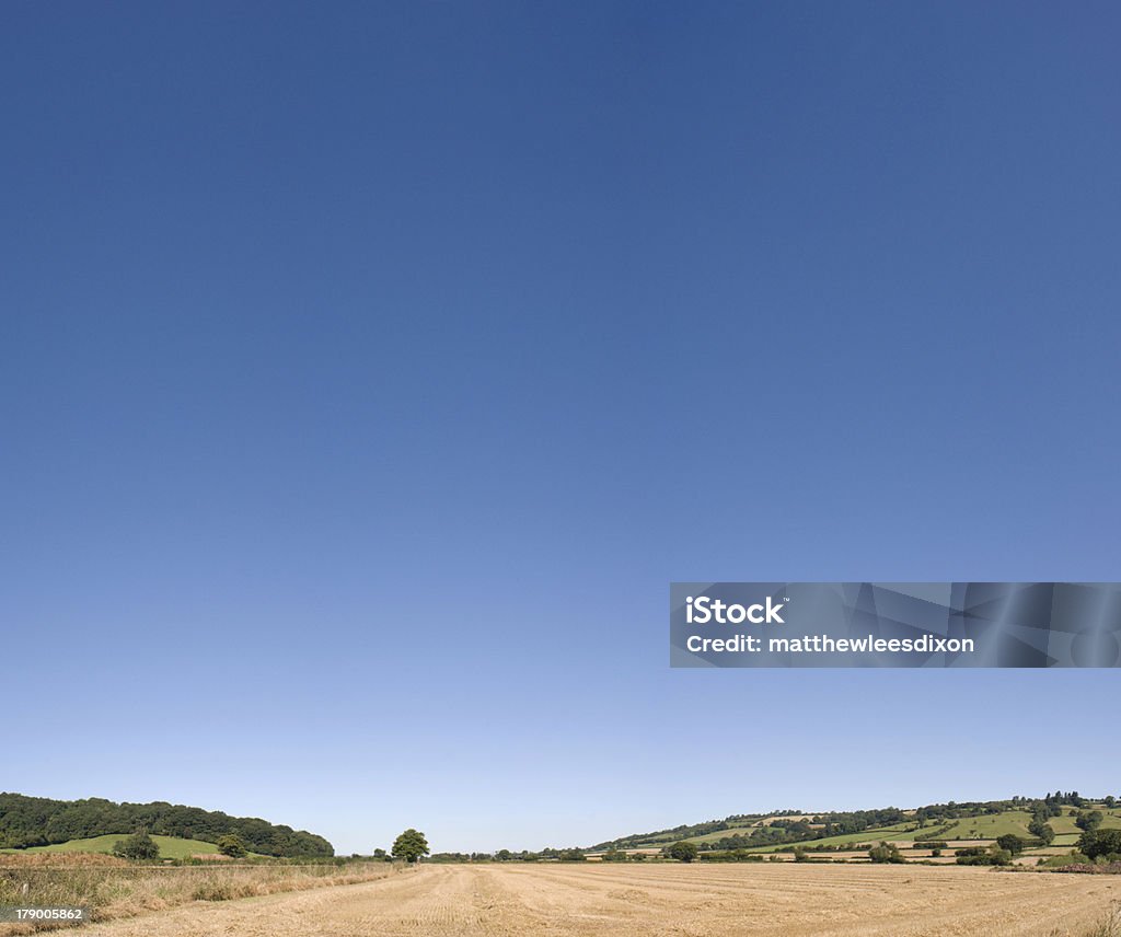 Cielo grande sobre las tierras de labrantío - Foto de stock de Agricultura libre de derechos