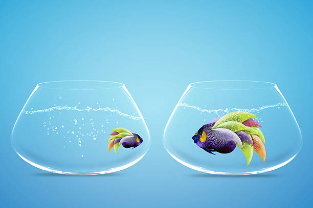 istock Lack of equal opportunities 179006346