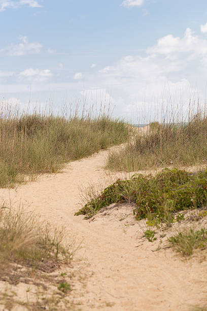 istock Long Sand Walkway to the Beach 179006454