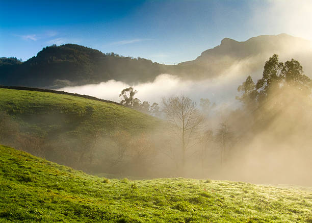 istock Sunrise on Branches of the Victory. Cantabria. Spain. 179008367