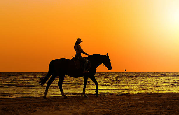 istock girl with horse on seacoast 179008514