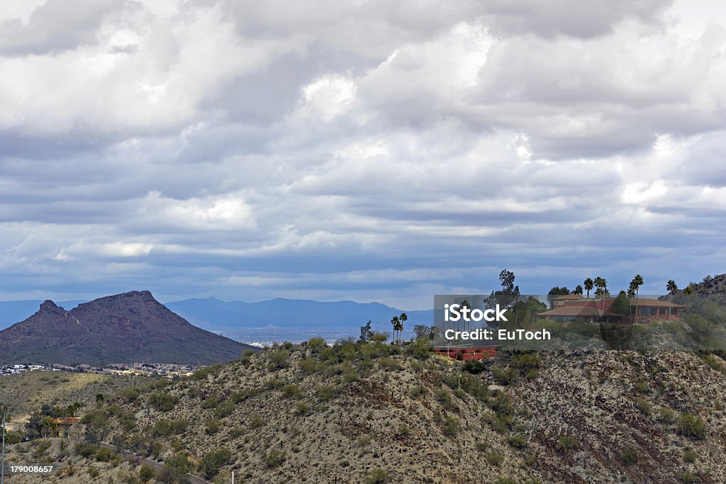 Hill Top vie, Greater Phoenix, en Arizona - Photo de Arbre libre de droits