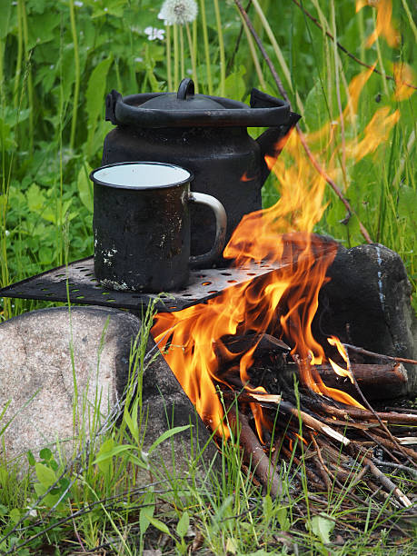 istock Teapot and kettle on a fire in the summer 179008886
