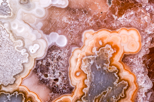 agate, quartz geode in petrified wood macro detail texture. close-up polished semi-precious gemstone.