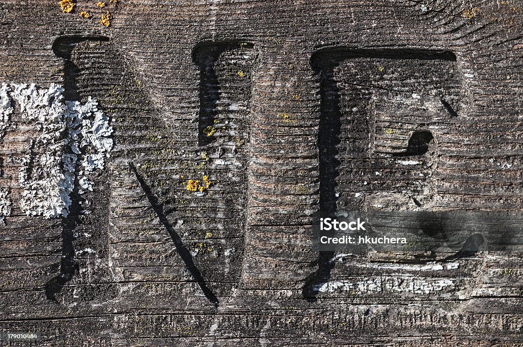 N и E резные на лишайник скрытой доска - Стоковые фото Алфавит роялти-фри