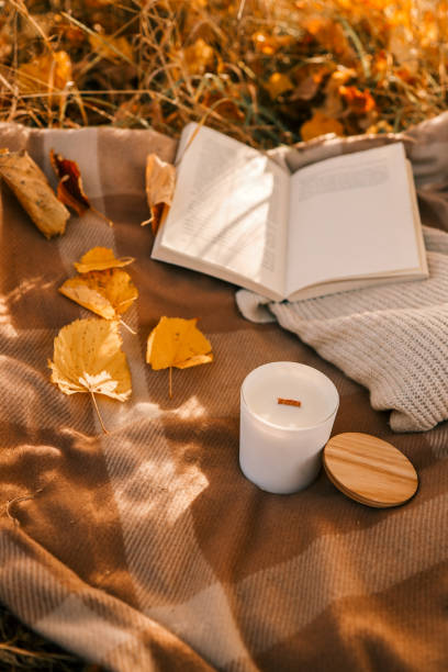 istock Candle and open book in nature, autumn concept 1790104867
