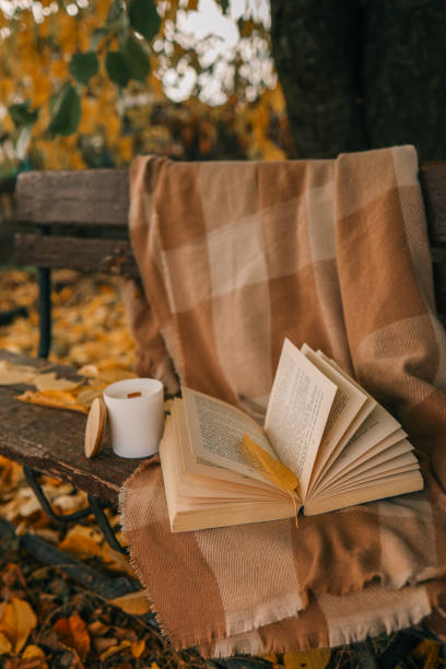 istock Candle and open book in nature, autumn concept 1790105274