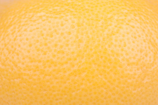 istock close up of a orange fruit texture 179010566