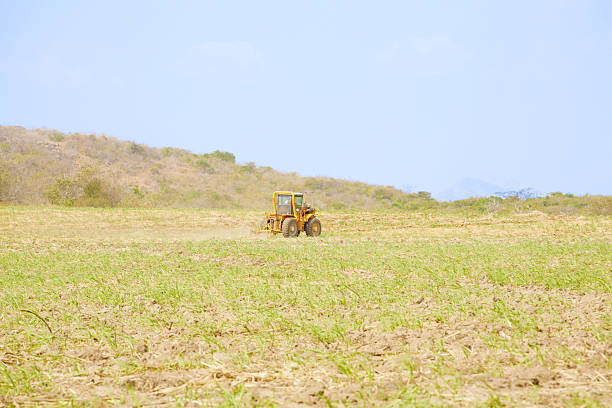 istock Tractor plows a field preparing for the rice grow up 179010591