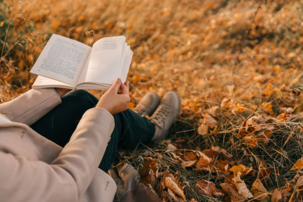 istock Open book in hands in nature 1790108101