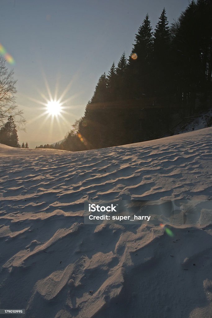 winter - - Lizenzfrei Baum Stock-Foto