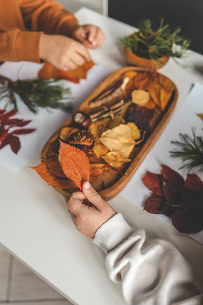 istock Children explore and work with natural materials, creativity top view 1790111819