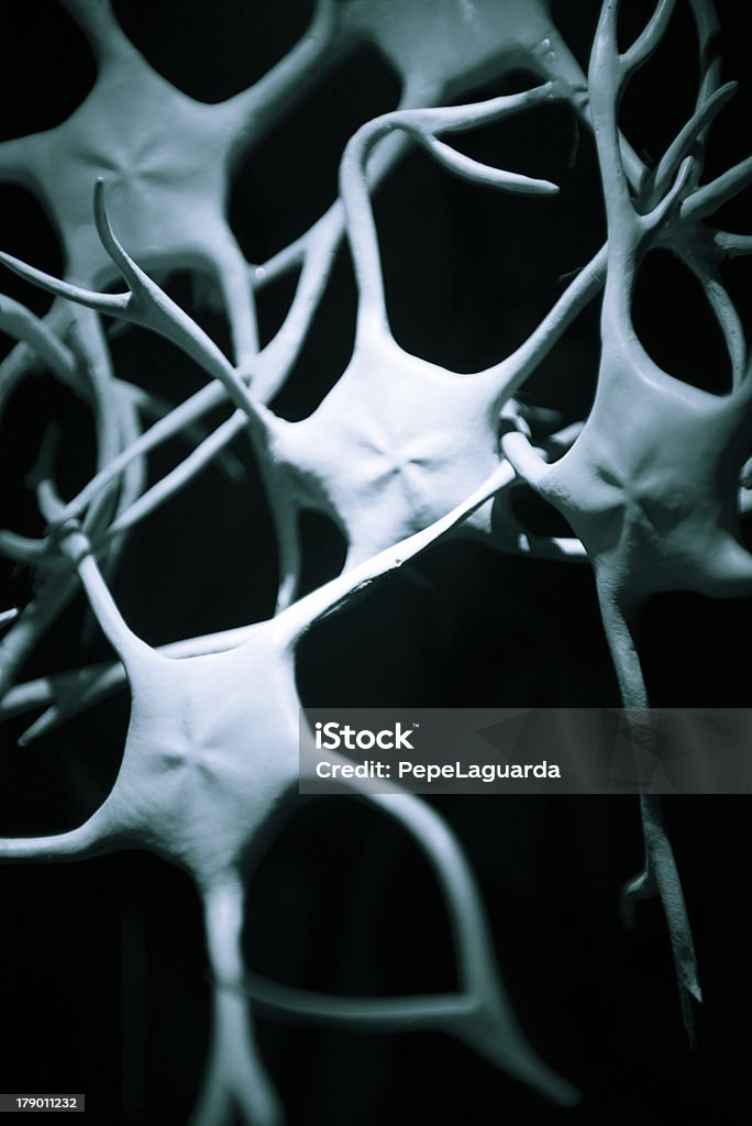 Neurons Detail of brain neurones Nerve Cell Stock Photo