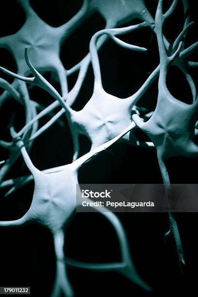 Neurons Stock Photo - Download Image Now - Nerve Cell, Anatomy, Animal Brain